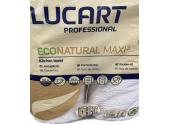 Essuie tout Lucart Econatural Maxi³ lot de 2 rouleaux 821378