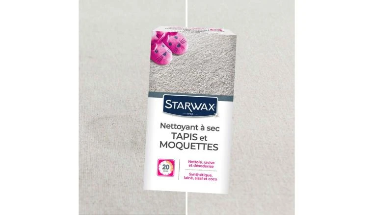 NETTOYANT SEC TAPIS MOQU 500G