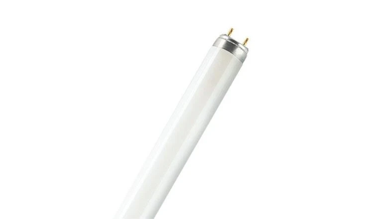 TUBE FLUO ACTIVE 58W D26 1500M