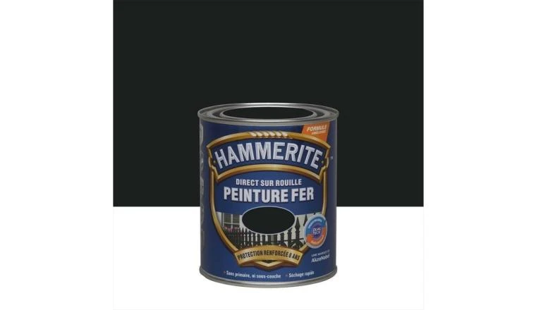 PEINTURE FER SAT 0L75 NR
