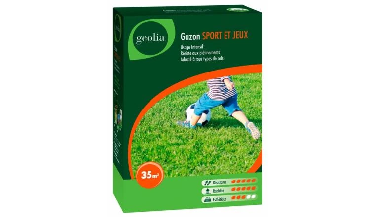 GAZON SPORT/JEUX BTE 1KG