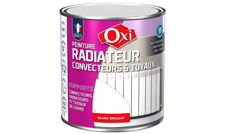 PEINTURE RADIATEUR BLC BRI 0L5