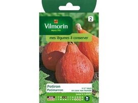 POTIRON POTIMARRON VILMORIN