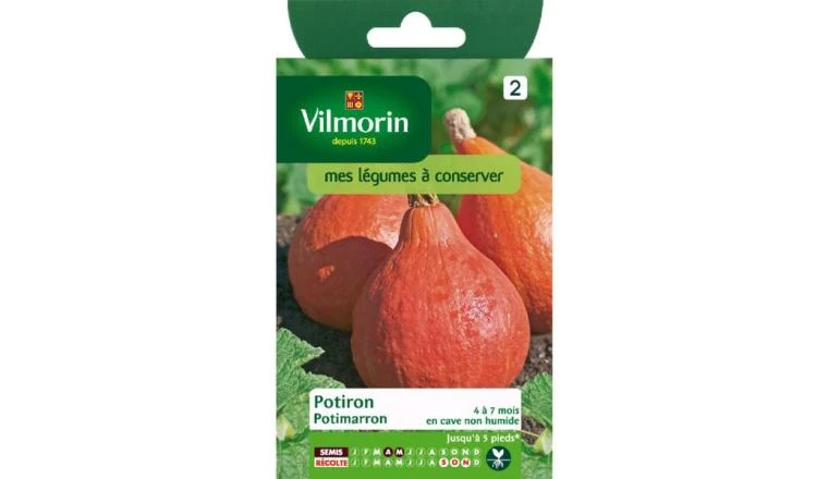 POTIRON POTIMARRON VILMORIN