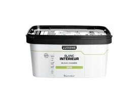 PEINTURE TC BLANC SATIN 5L