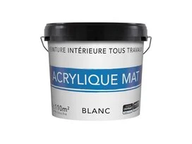 PEINTURE MUR PLFD BLC MAT 12L