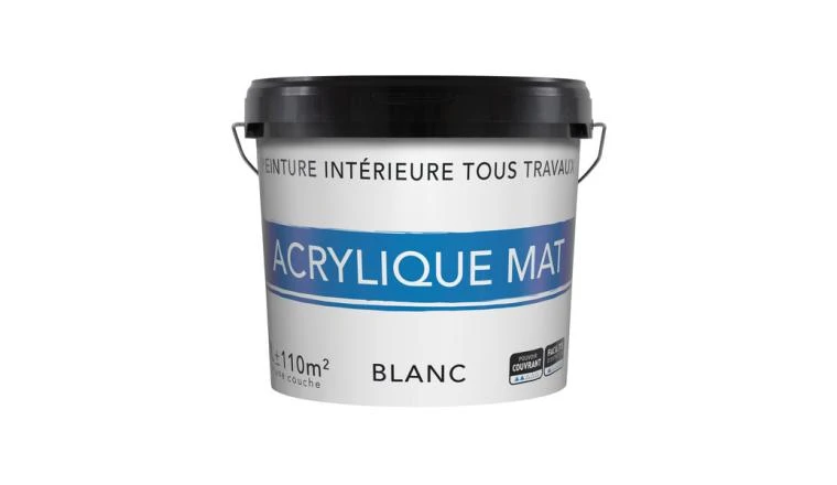 PEINTURE MUR PLFD BLC MAT 12L