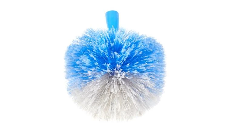 TETE DE LOUP IMPACT