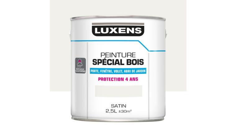 PEINTURE BOIS SAT 2L5 BLC