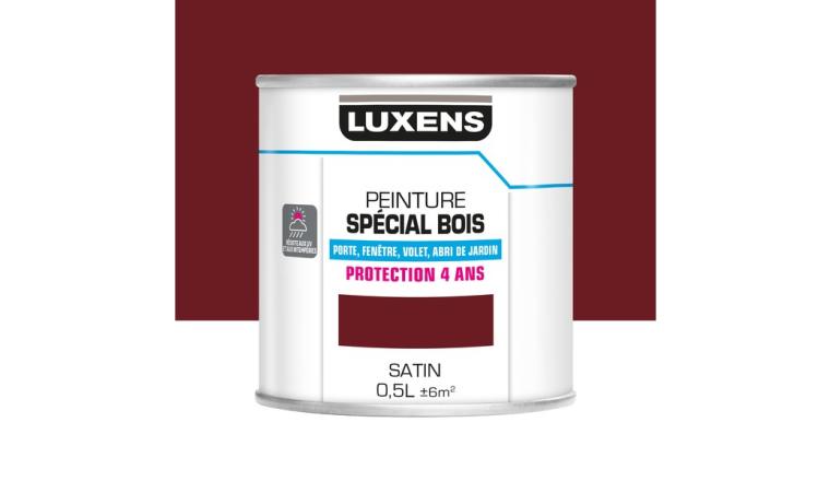 PEINTURE BOIS SAT 0L5 RGE BASQ
