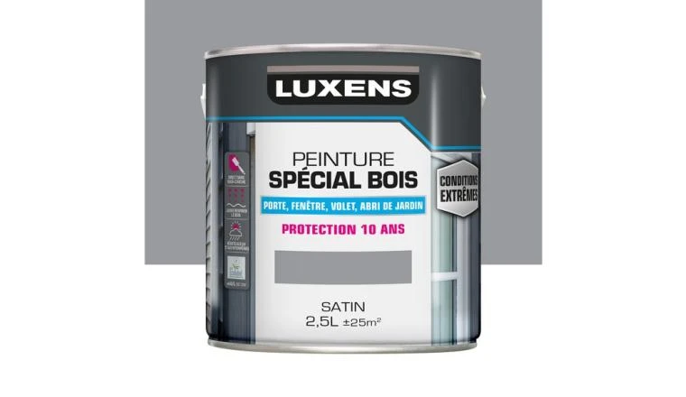 PEINTURE BOIS EXTM SAT 2L5 GR3