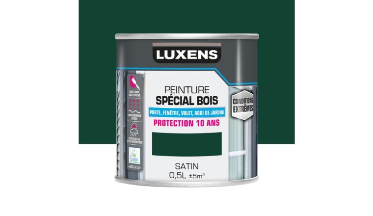 PEINTURE BOIS CE VERT SAP 0L5