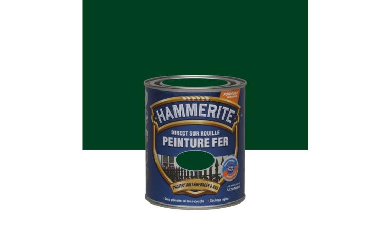 PEINTURE FER BRIL 0L75 VRT BUI