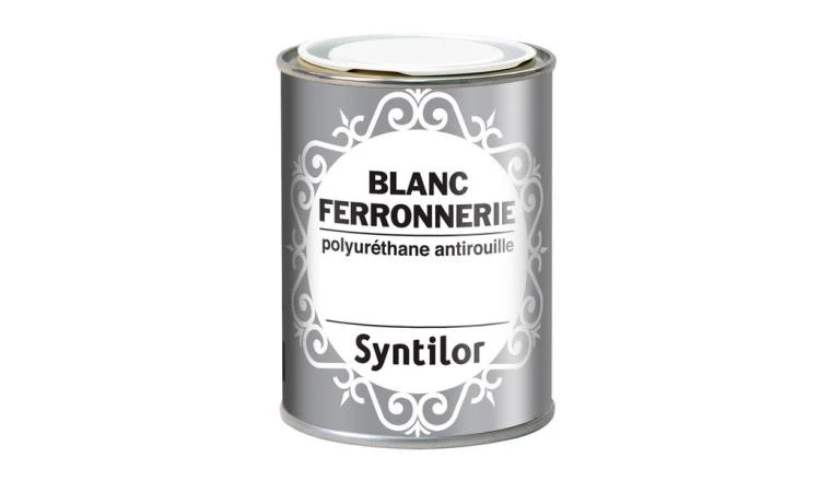 PEINT FERRON 250ML BLANC
