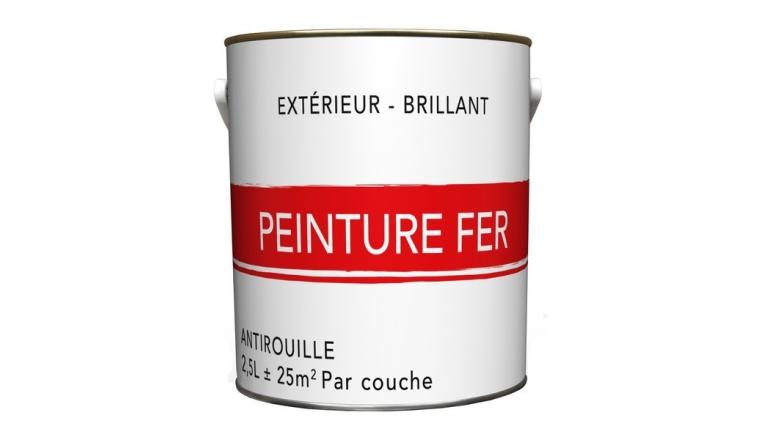 PEINTURE FER BLANC BRI 1P 2.5L