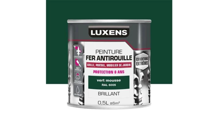 PEINTURE FER CONDITIONS EXTREMES VERT MOUSSE 0L5