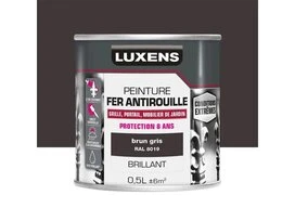 PEINTURE FER CONDITIONS EXTREMES GRIS GALET1 0L5