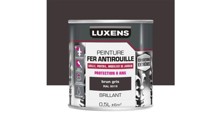 PEINTURE FER CONDITIONS EXTREMES GRIS GALET1 0L5
