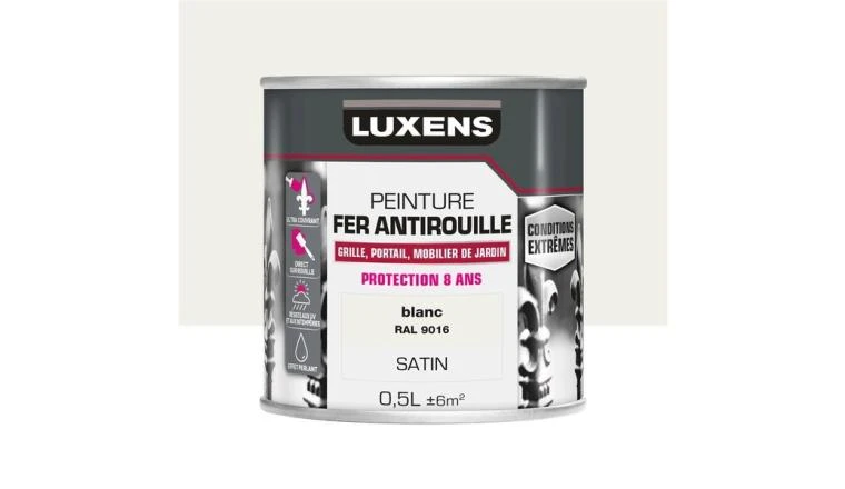 PEINTURE FER CE BLC 0 SAT 0L5