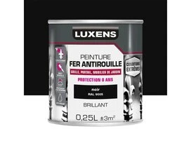 PEINTURE FER CE NOIR BRI 250ML