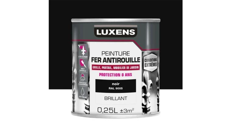 PEINTURE FER CE NOIR BRI 250ML