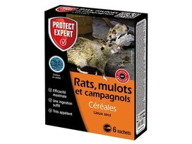 CEREALE RAT SOURIS MULOT PROTECT 6X25G