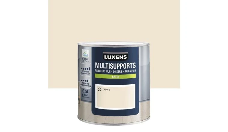 PEINTURE MONO SAT 0.5L IVOIR 2