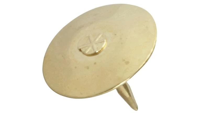 PUNAISE LAIT S65