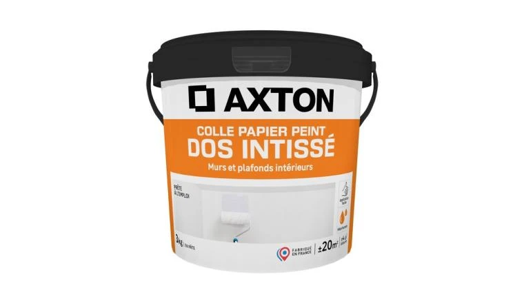 COLLE PAPIER PEINT INTISSE PATE 3KG AXTON