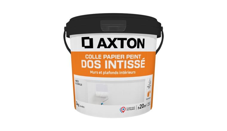 COLLE PAPIER PEINT INTISSE PATE 3KG AXTON