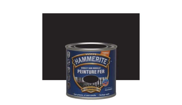 PEINTURE FER NOIR 250ML