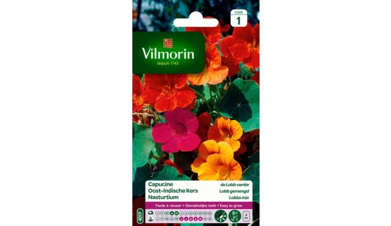 CAPUCINE LOBB VARIEE VILMORIN