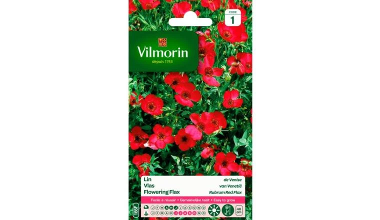 LIN VENISE FLEUR ROUGE VILMORIN