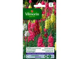 MUFLIER GRAND LOUP VILMORIN