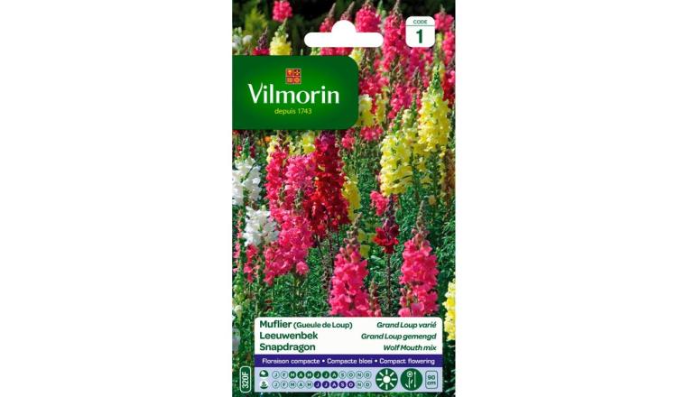 MUFLIER GRAND LOUP VILMORIN