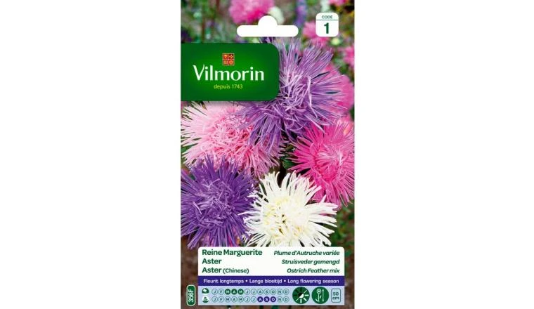 REINE MARGUERITE PLUME AUTRUCHE MIX