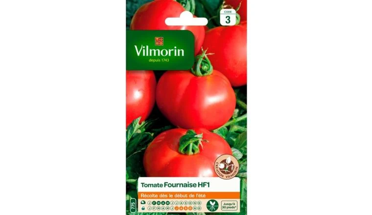 TOMATE FOURNAISE HYBRIDE F1 VILMORIN
