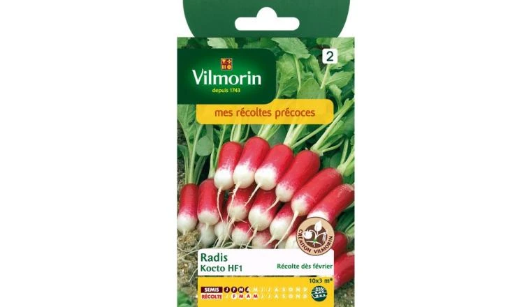 RADIS KOCTO VILMORIN