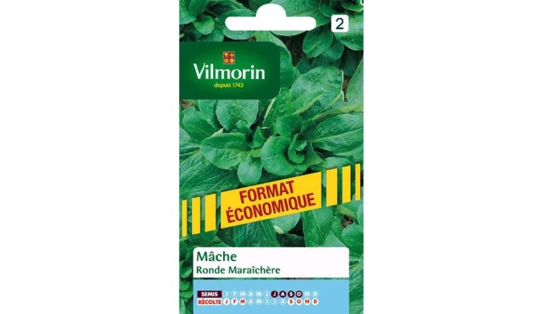 MACHE RONDE MARAICHER VILMORIN