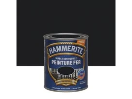 PEINTURE FER BRIL 0L75 NR