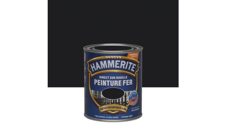 PEINTURE FER BRIL 0L75 NR