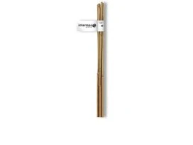 TUTEUR BAMBOU NAT 0M90 LOT 4