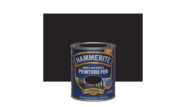 PEINTURE FER NOIR 0.75L