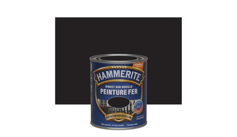 PEINTURE FER NOIR 0.75L