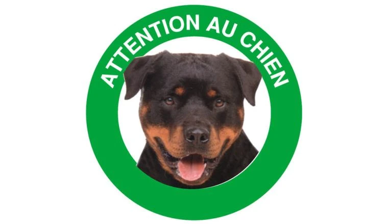 DISQUE 180 ATTENTION CHIEN ROT