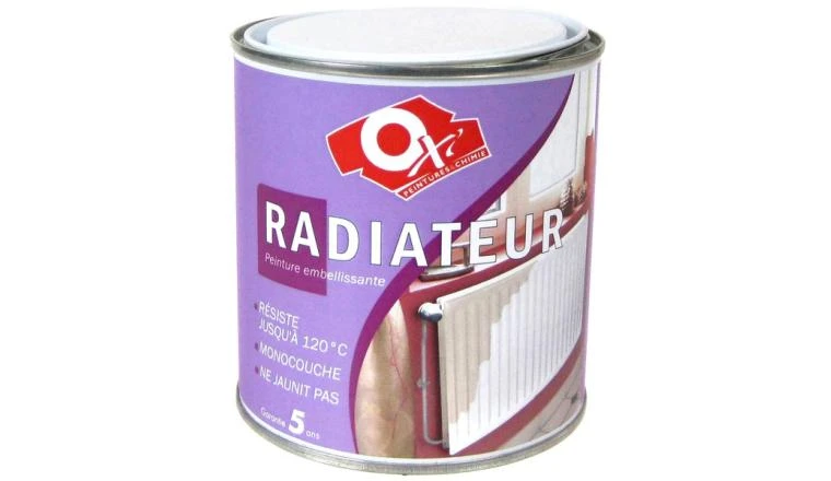 PEINTURE RADIATEUR BLC MAT 0L5