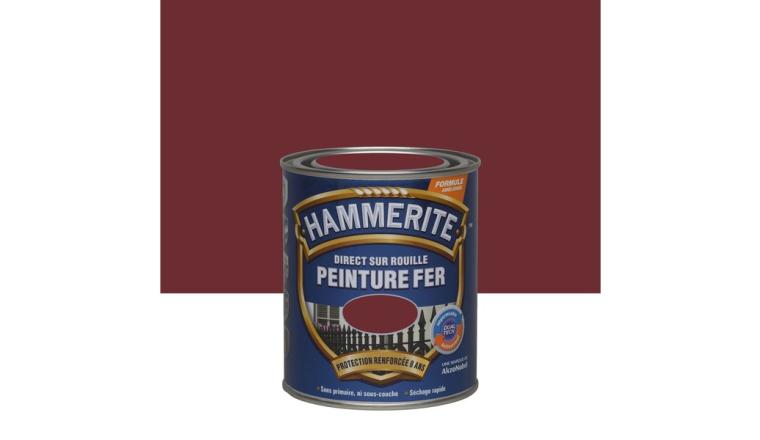 PEINTURE FER BRIL 0L75 RGE BAS