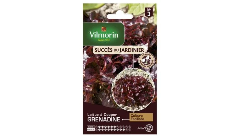 LAITUE GRENADINE VILMORIN