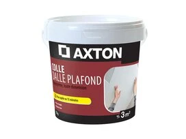 COLLE DALLE DE PLAFOND POLYSTYRENE PATE 1KG AXTON
