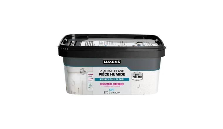PEINTURE PLAFOND PIECE HUMIDE LUXENS MAT 2.5L